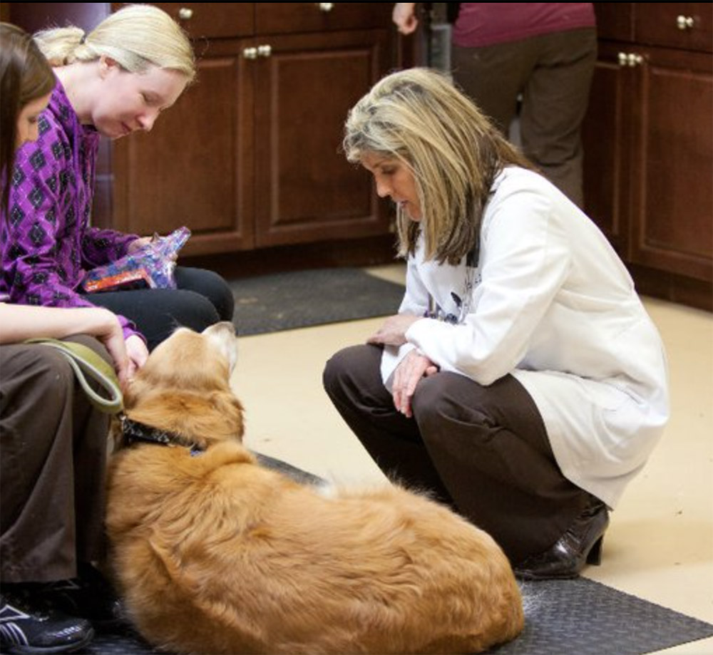 Veterinary Care in Franklin, TN | South Franklin Animal Hospital