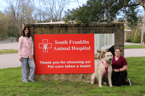 Two people sitting in front of South Franklin Animal Hospital's sign with a large dog in Franklin, TN
